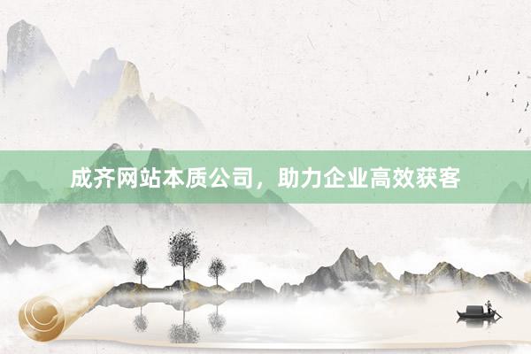 成齐网站本质公司,助力企业高效获客